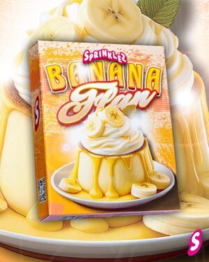 Banana Fran 🍌🐒